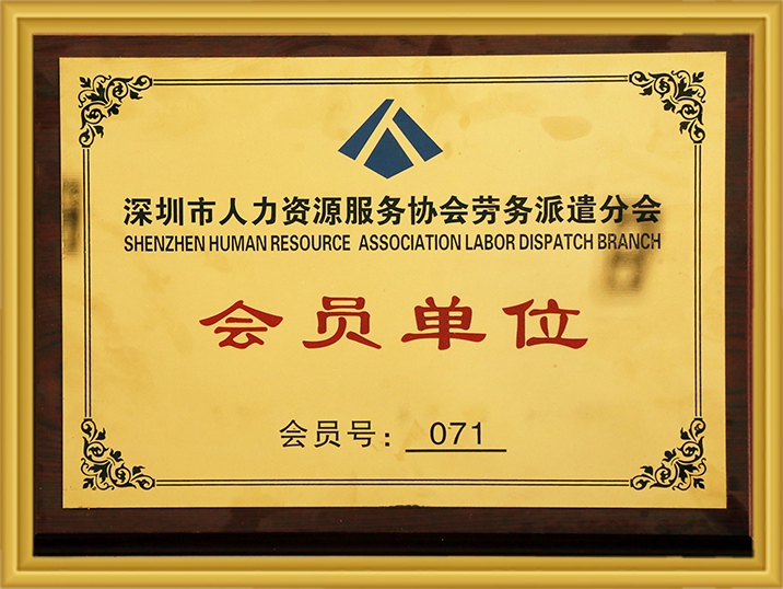丽江市人力资源服务协会劳务调派分会会员单元 Stake(中国区)官方网站